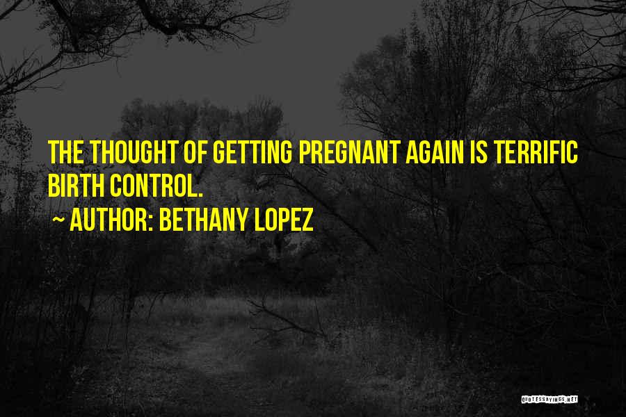 I'm Pregnant Again Quotes By Bethany Lopez