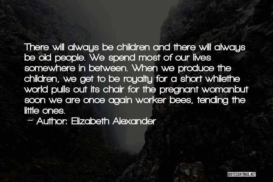 I'm Pregnant Again Quotes By Elizabeth Alexander
