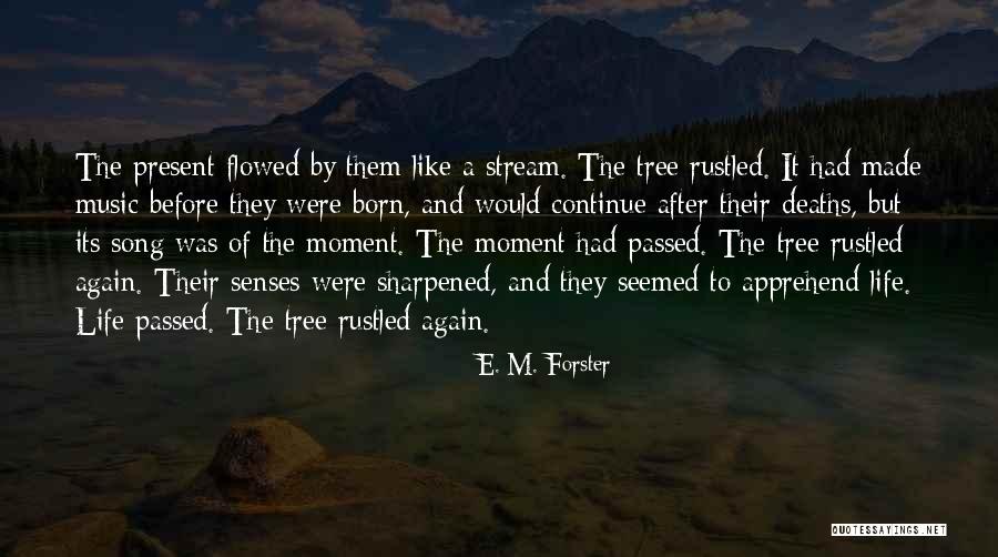 I'm Pregnant Announcement Quotes By E. M. Forster I'm Pregnant Announcement Quotes By E. M. Forster