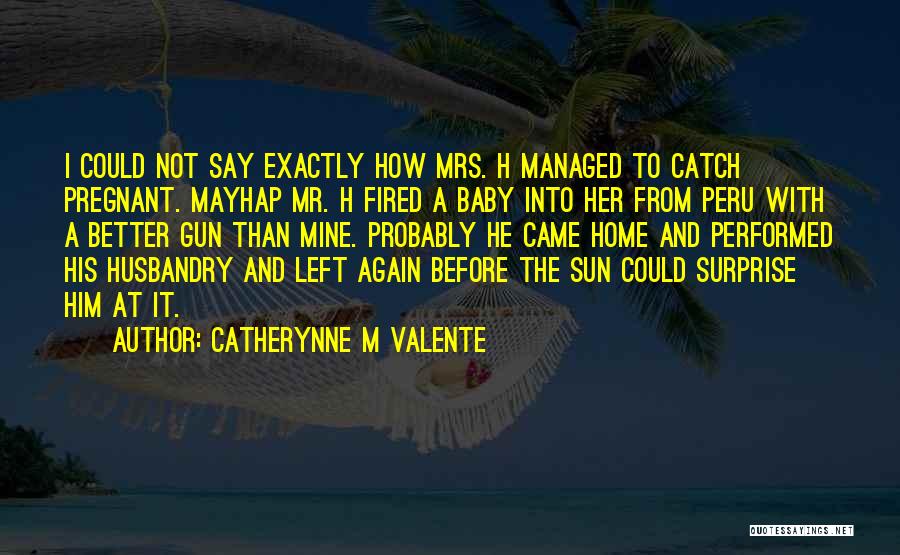 I'm Pregnant Quotes By Catherynne M Valente