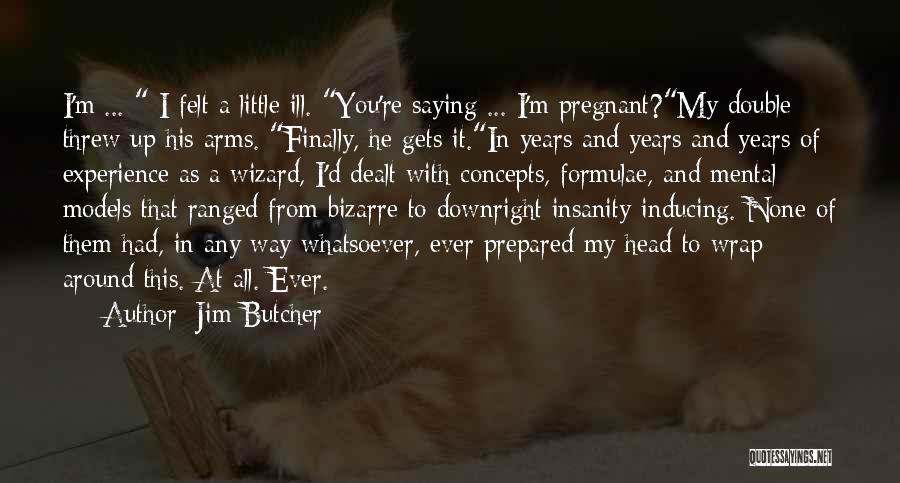 I'm Pregnant Quotes By Jim Butcher