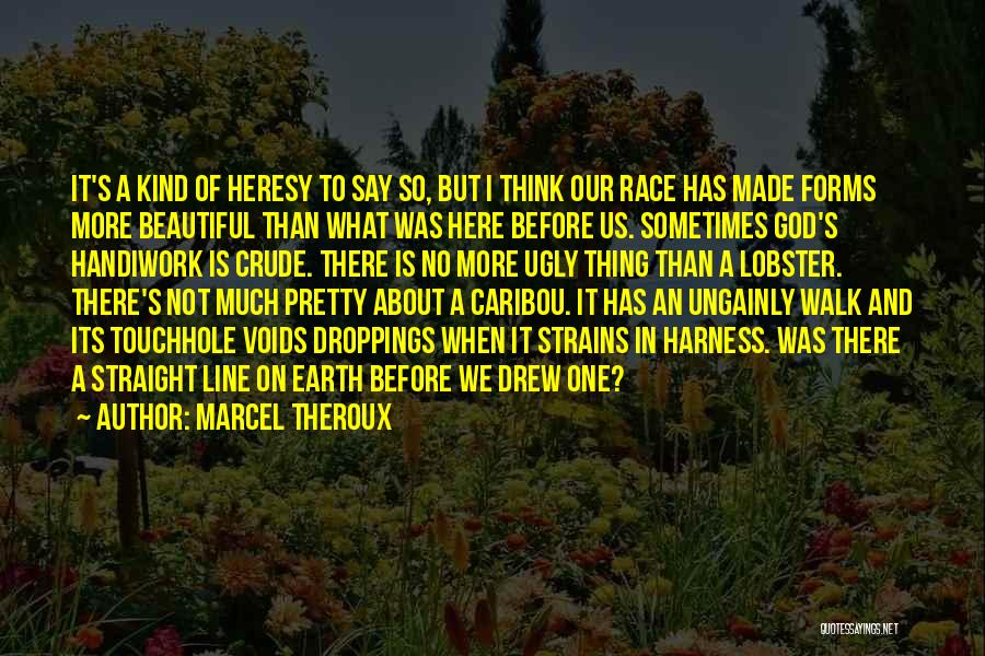 I'm Pretty But I'm Not Beautiful Quotes By Marcel Theroux