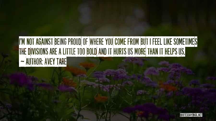 I'm Proud Of Us Quotes By Avey Tare