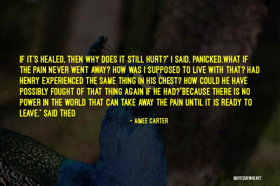 I'm Ready To Get Hurt Quotes By Aimee Carter