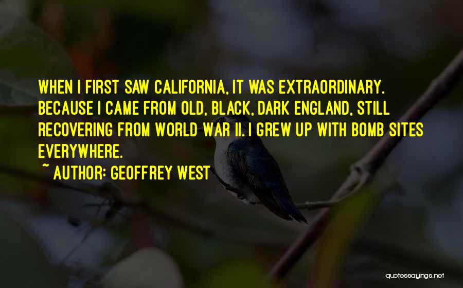 I'm Recovering Quotes By Geoffrey West