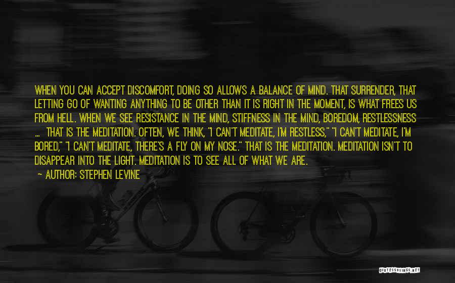 I'm Restless Quotes By Stephen Levine