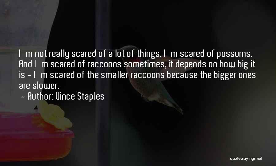 I'm Scared Quotes By Vince Staples