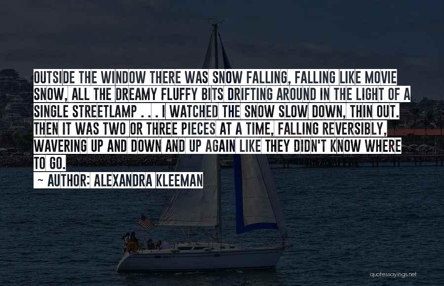 I'm Single Again Quotes By Alexandra Kleeman