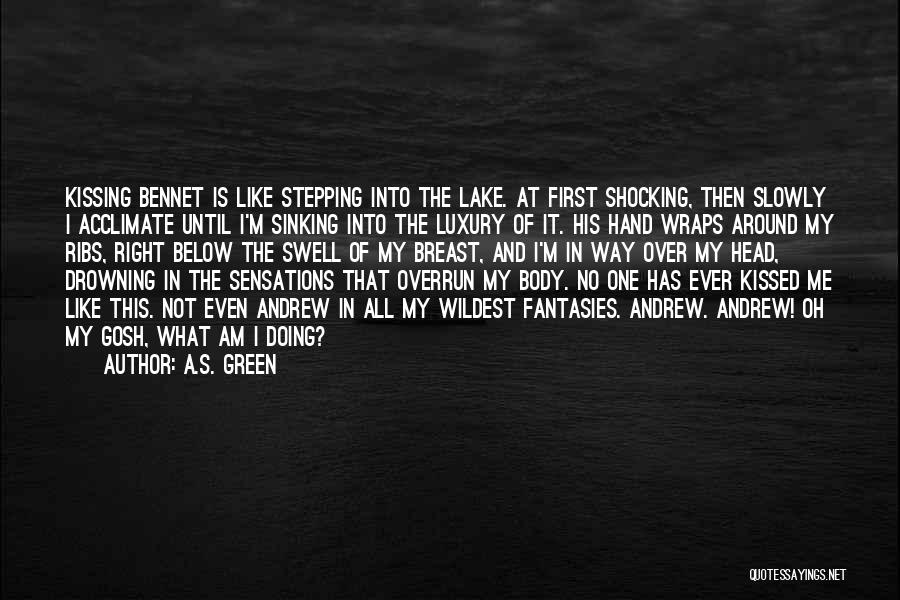 I'm Sinking Quotes By A.S. Green