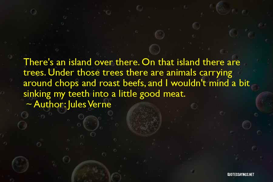 I'm Sinking Quotes By Jules Verne