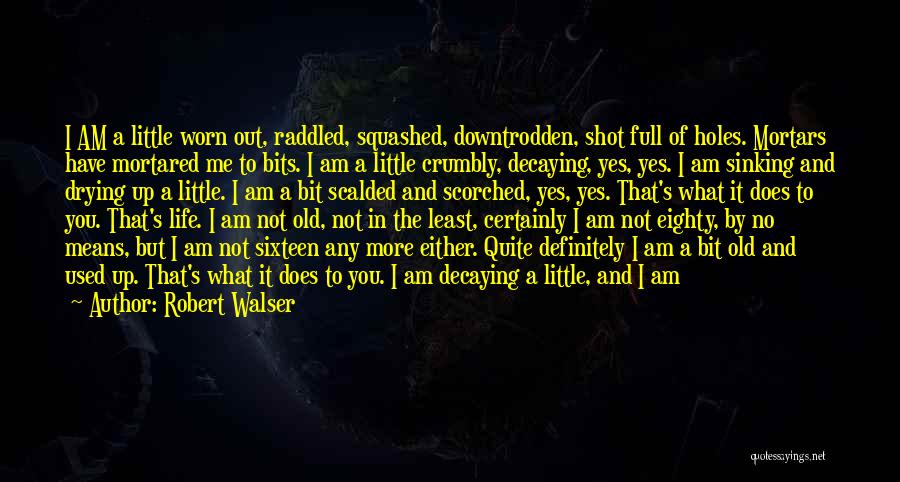 I'm Sinking Quotes By Robert Walser