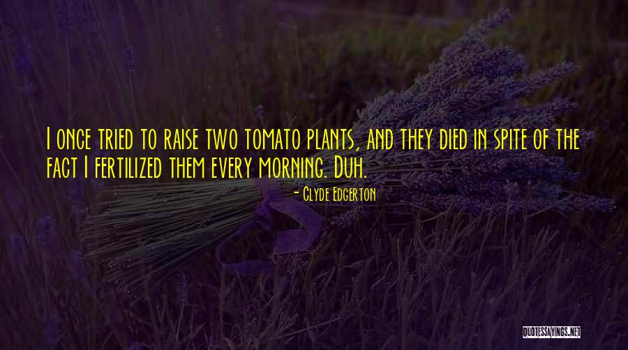 Im Sleepy Quotes By Clyde Edgerton Im Sleepy Quotes By Clyde Edgerton