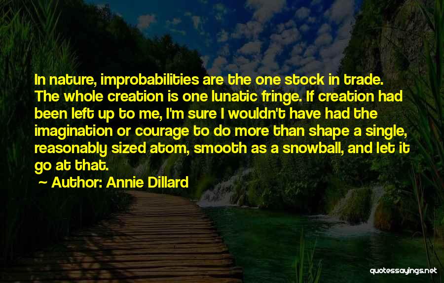 I'm Smooth Quotes By Annie Dillard