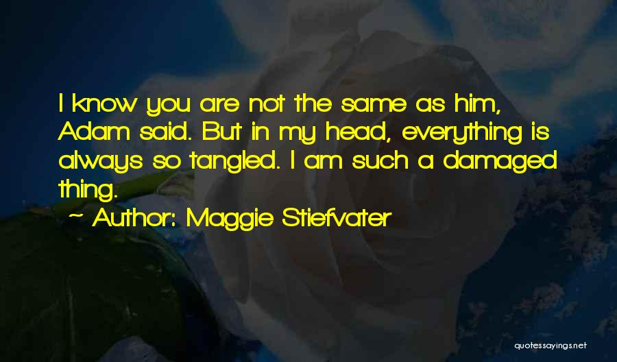 I'm So Damaged Quotes By Maggie Stiefvater