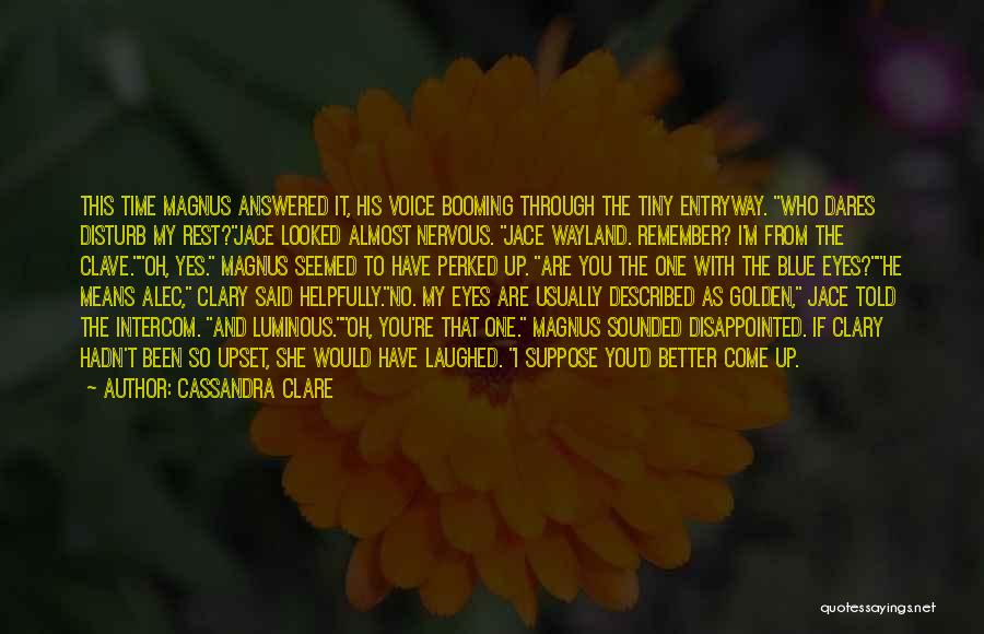 I'm So Disappointed Quotes By Cassandra Clare