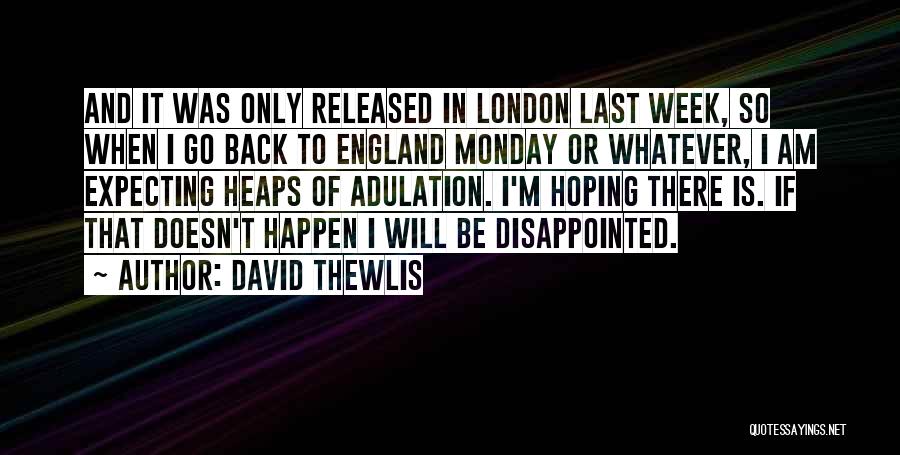 I'm So Disappointed Quotes By David Thewlis