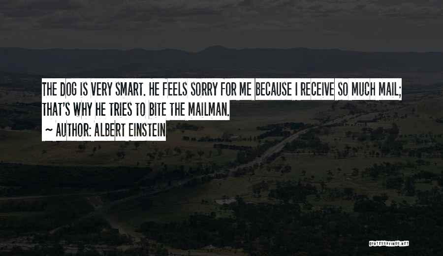 I'm So Very Sorry Quotes By Albert Einstein