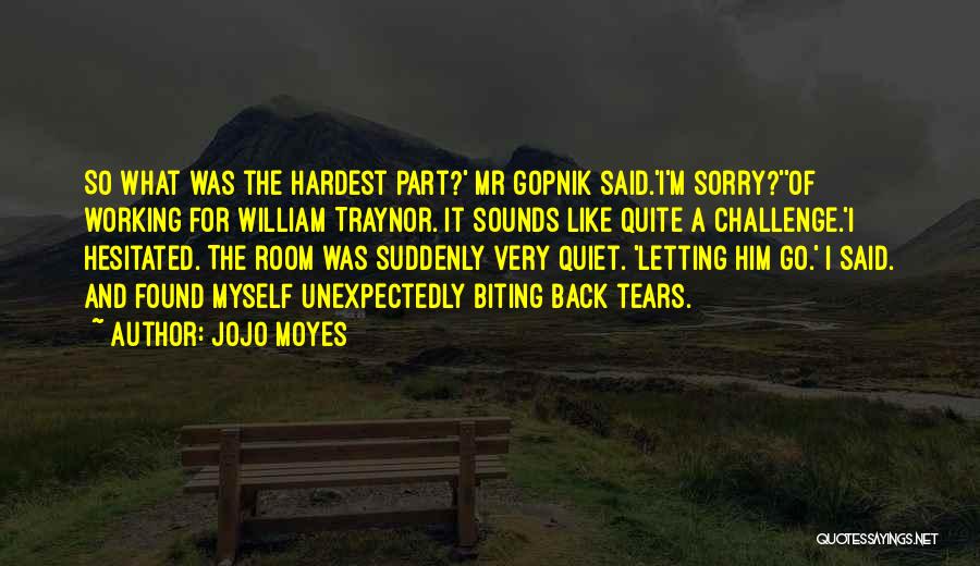 I'm So Very Sorry Quotes By Jojo Moyes