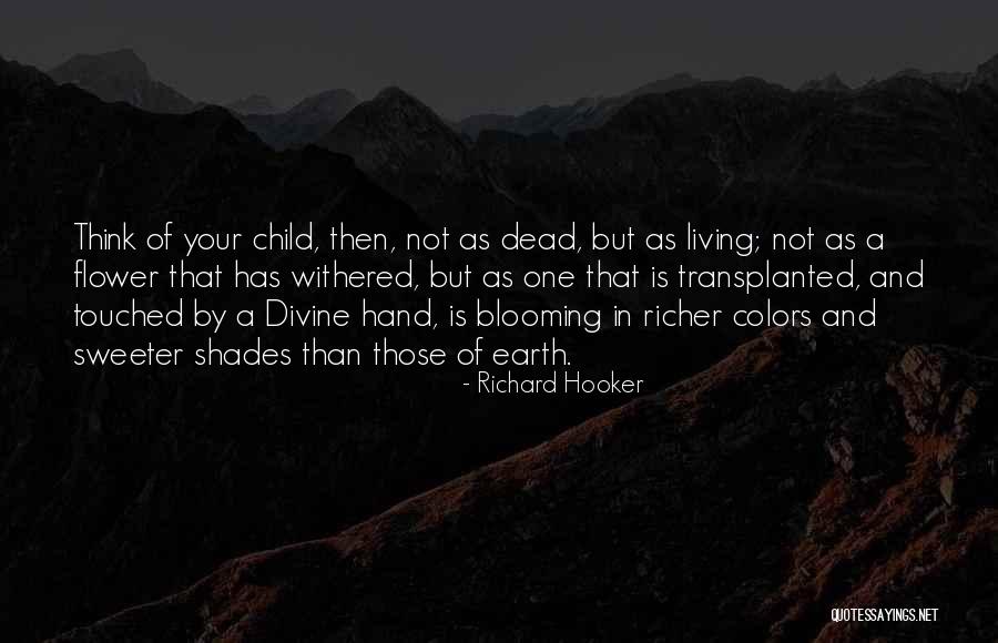 Im Sorry Babe Quotes By Richard Hooker Im Sorry Babe Quotes By Richard Hooker