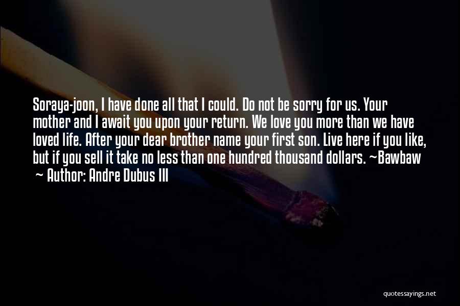I'm Sorry Brother Quotes By Andre Dubus III