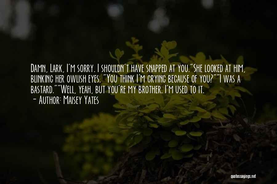 I'm Sorry Brother Quotes By Maisey Yates