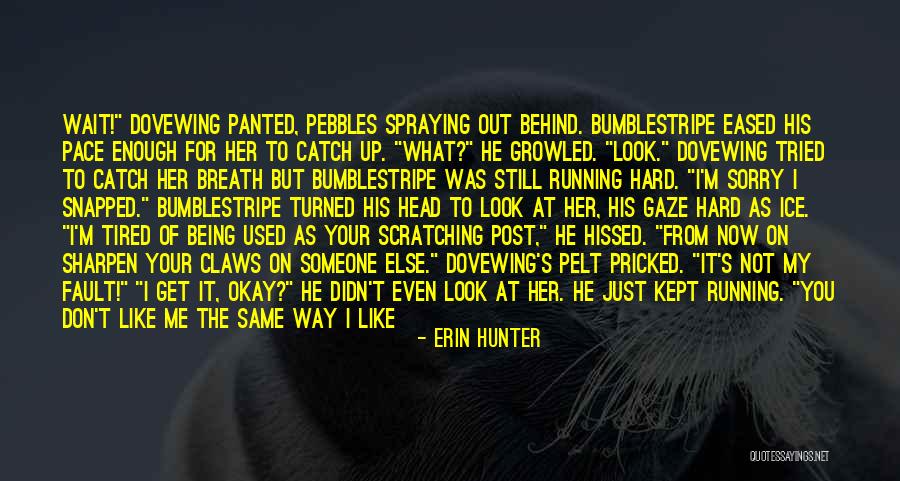 I'm Sorry For Being Me Quotes By Erin Hunter I'm Sorry For Being Me Quotes By Erin Hunter
