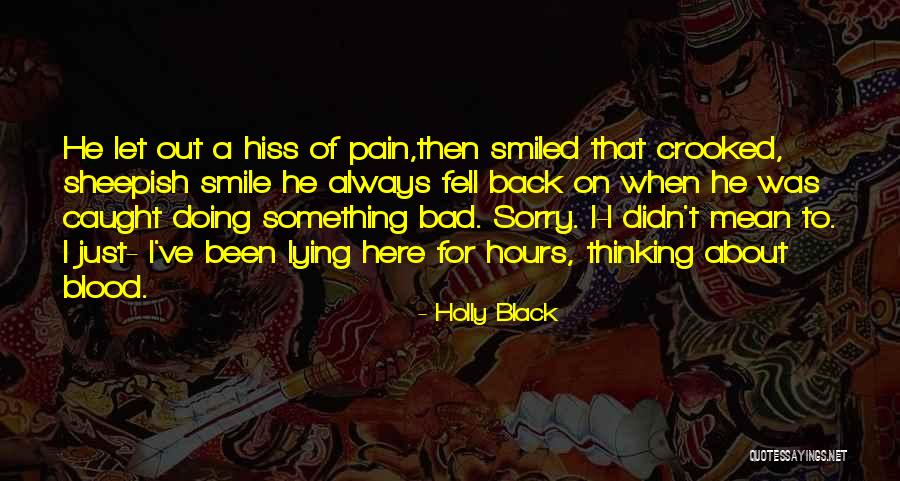 I'm Sorry For Lying Quotes By Holly Black I'm Sorry For Lying Quotes By Holly Black
