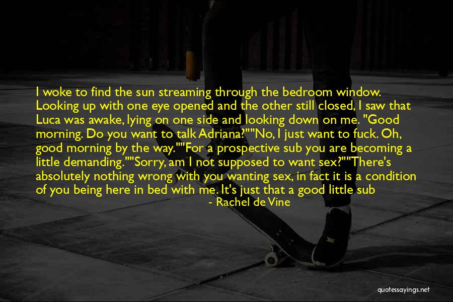 I'm Sorry For Lying Quotes By Rachel De Vine I'm Sorry For Lying Quotes By Rachel De Vine