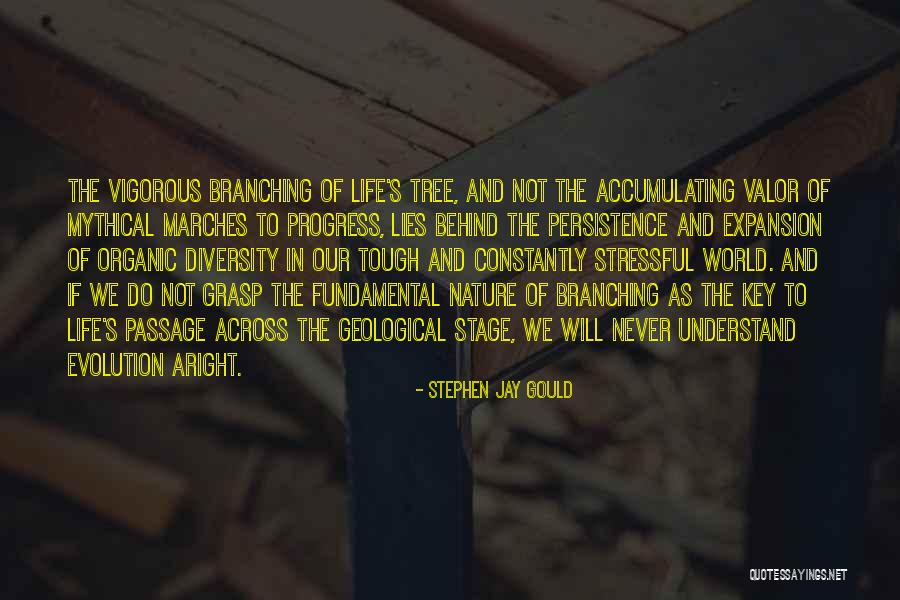 I'm Sorry For Lying Quotes By Stephen Jay Gould I'm Sorry For Lying Quotes By Stephen Jay Gould