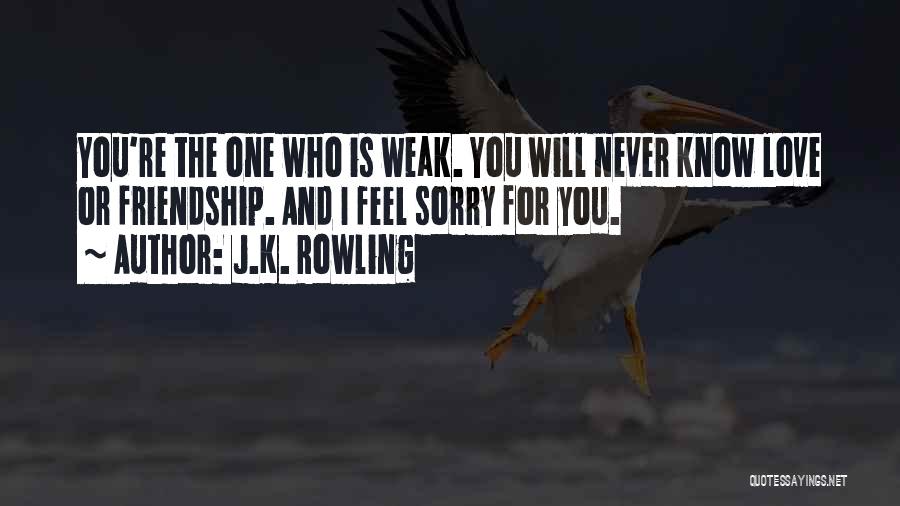 I'm Sorry Friendship Quotes By J.K. Rowling