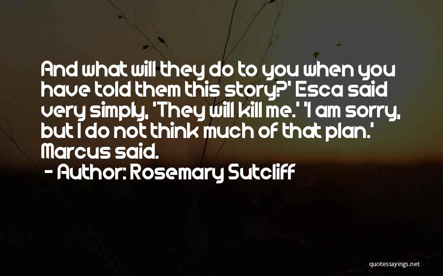 I'm Sorry Friendship Quotes By Rosemary Sutcliff