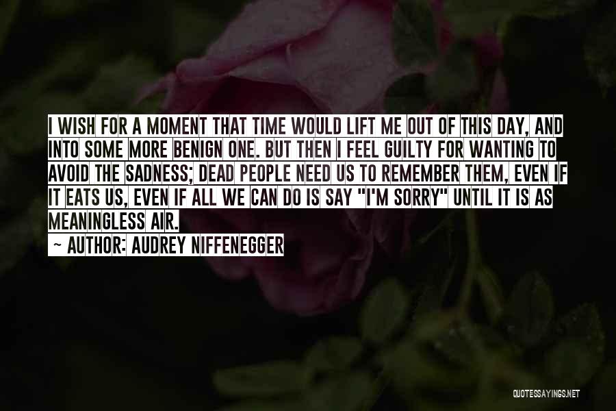 I'm Sorry I Can't Do This Quotes By Audrey Niffenegger