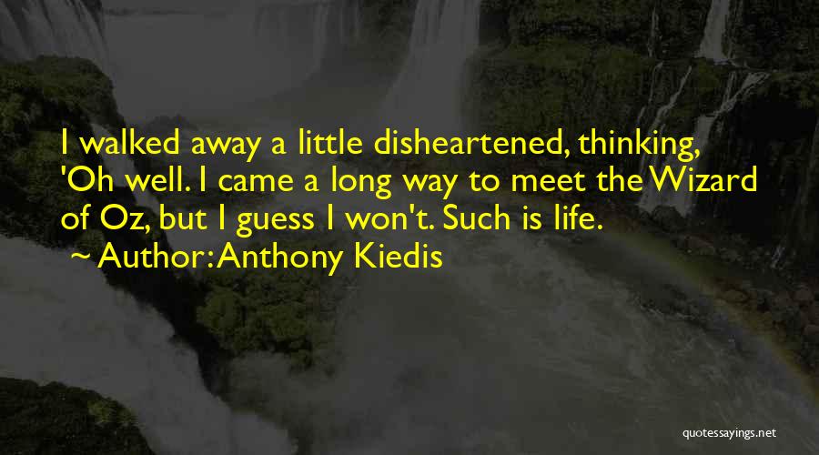 I'm Sorry I Walked Away Quotes By Anthony Kiedis