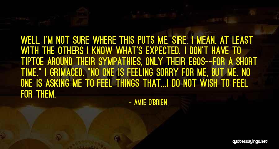 I'm Sorry Love Quotes By Amie O'Brien