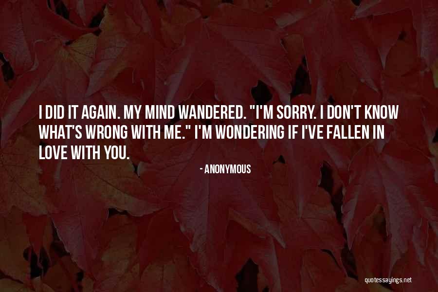 I'm Sorry Love Quotes By Anonymous