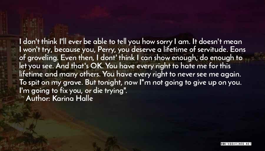 I'm Sorry Ok Quotes By Karina Halle