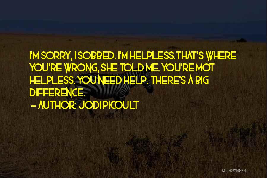 I'm Sorry Quotes By Jodi Picoult