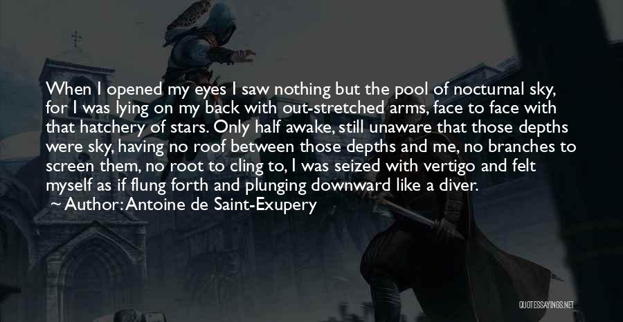 I'm Still Awake Quotes By Antoine De Saint-Exupery