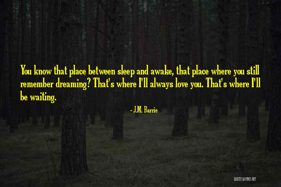 I'm Still Awake Quotes By J.M. Barrie