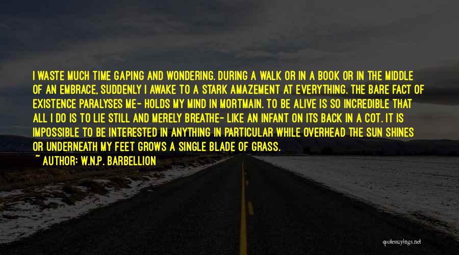 I'm Still Awake Quotes By W.N.P. Barbellion
