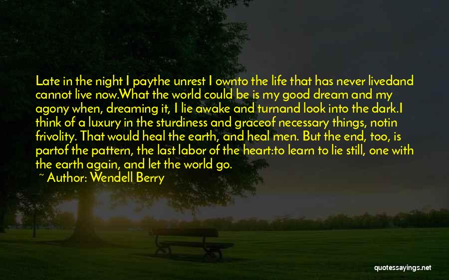 I'm Still Awake Quotes By Wendell Berry