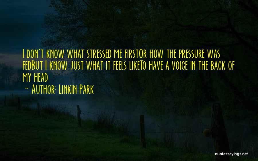 I'm Stressed Quotes By Linkin Park