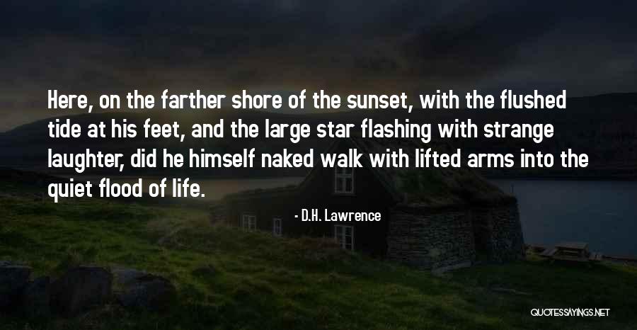 Im Strong Quotes By D.H. Lawrence Im Strong Quotes By D.H. Lawrence
