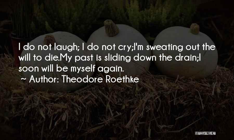 I'm Sweating Quotes By Theodore Roethke