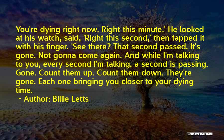 I'm Talking To You Quotes By Billie Letts