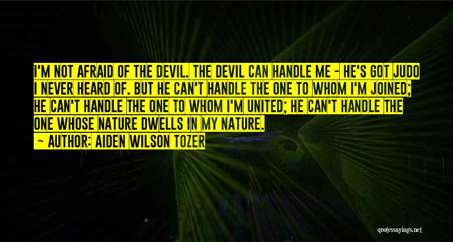 I'm The Devil Quotes By Aiden Wilson Tozer