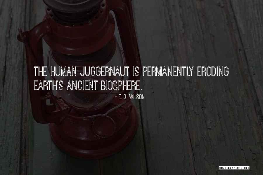 I'm The Juggernaut Quotes By E. O. Wilson