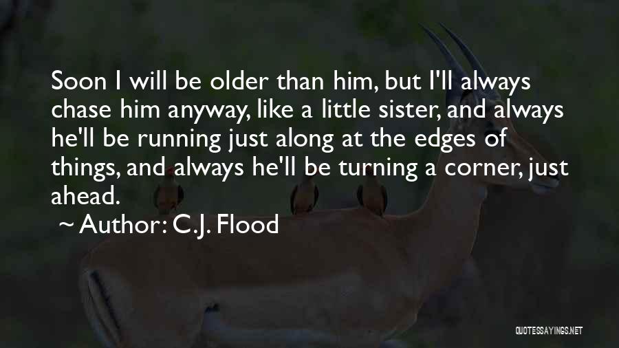 I'm The Little Sister Quotes By C.J. Flood