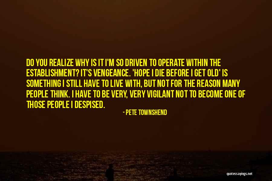 I'm The One For You Quotes By Pete Townshend