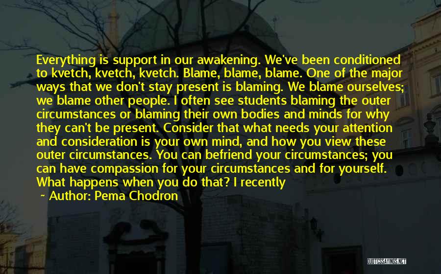 I'm The One To Blame Quotes By Pema Chodron